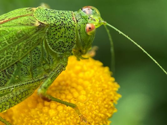da bleibt kein Auge trocken...