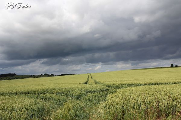 Da braut sich was zusammen!