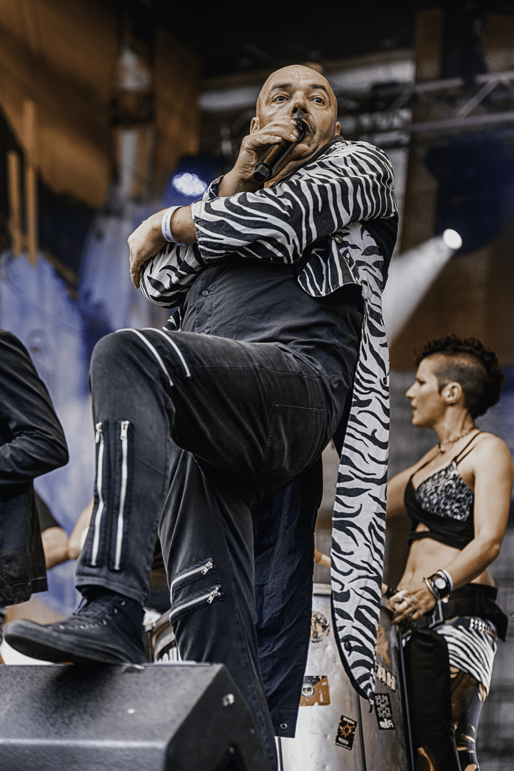 Da Capo ! Foto & Bild spezial, dokumentation, sommer Bilder auf