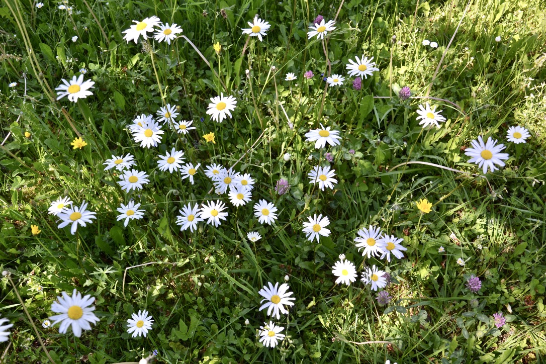 Da draußen grau-in-graues Wetter herrscht…