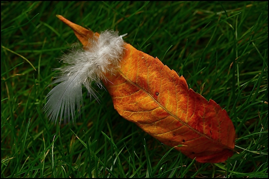 Da es ja heute noch Herbst ist, ...