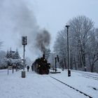 Da es so kalt ist komme ich mir vor wie im Winter ...