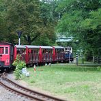 Da fährt sie hin, die Parkbahn Cottbus