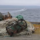 Da fährt sie hin - vermutlich nach Rousay