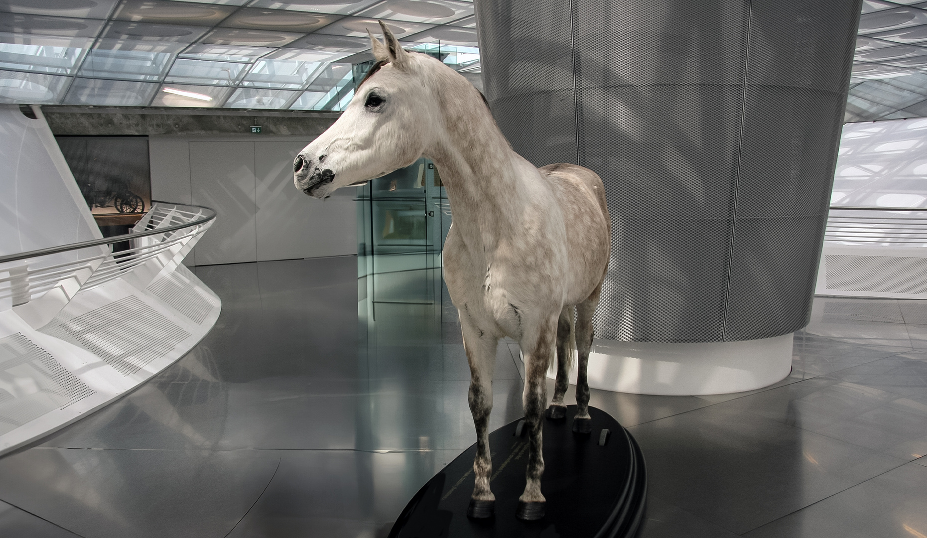 Da fängt der Rundgang an im Museum