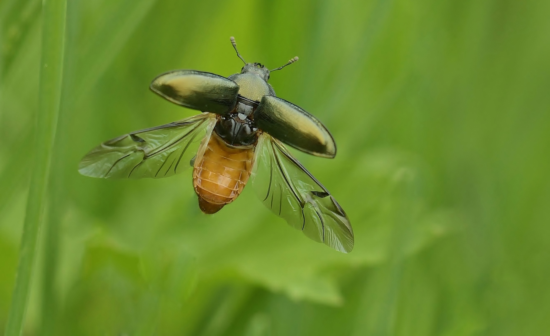 Da fliege ich mal eine Runde.