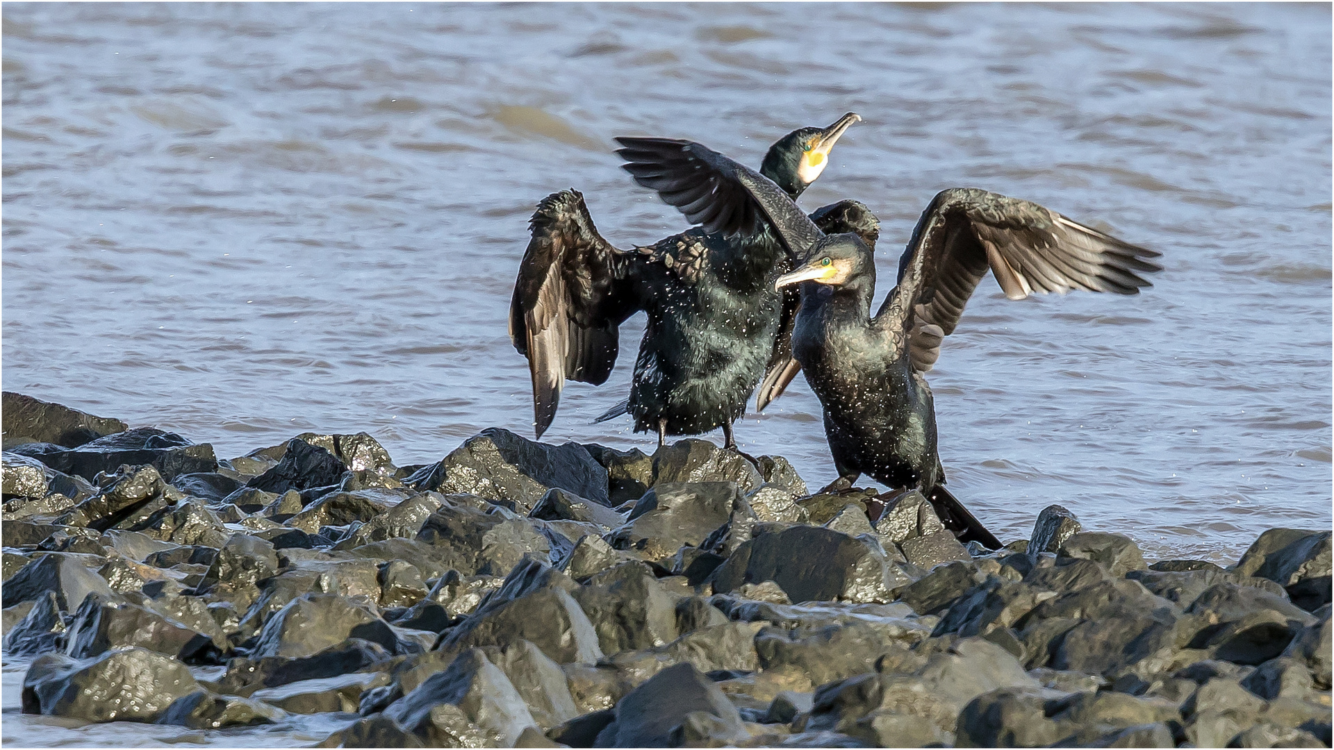 da fliegen die Wassertropfen  .....