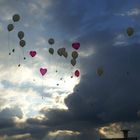 Da fliegen sie, die Glückwünsche zur Hochzeit