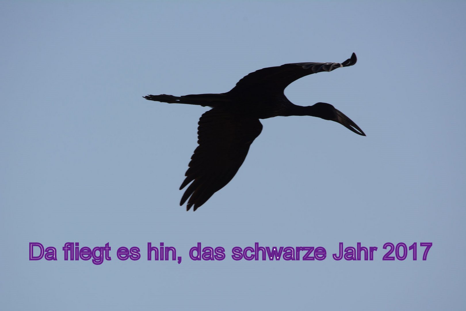 Da fliegt es hin, das schwarze Jahr 2017