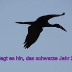 Da fliegt es hin, das schwarze Jahr 2017