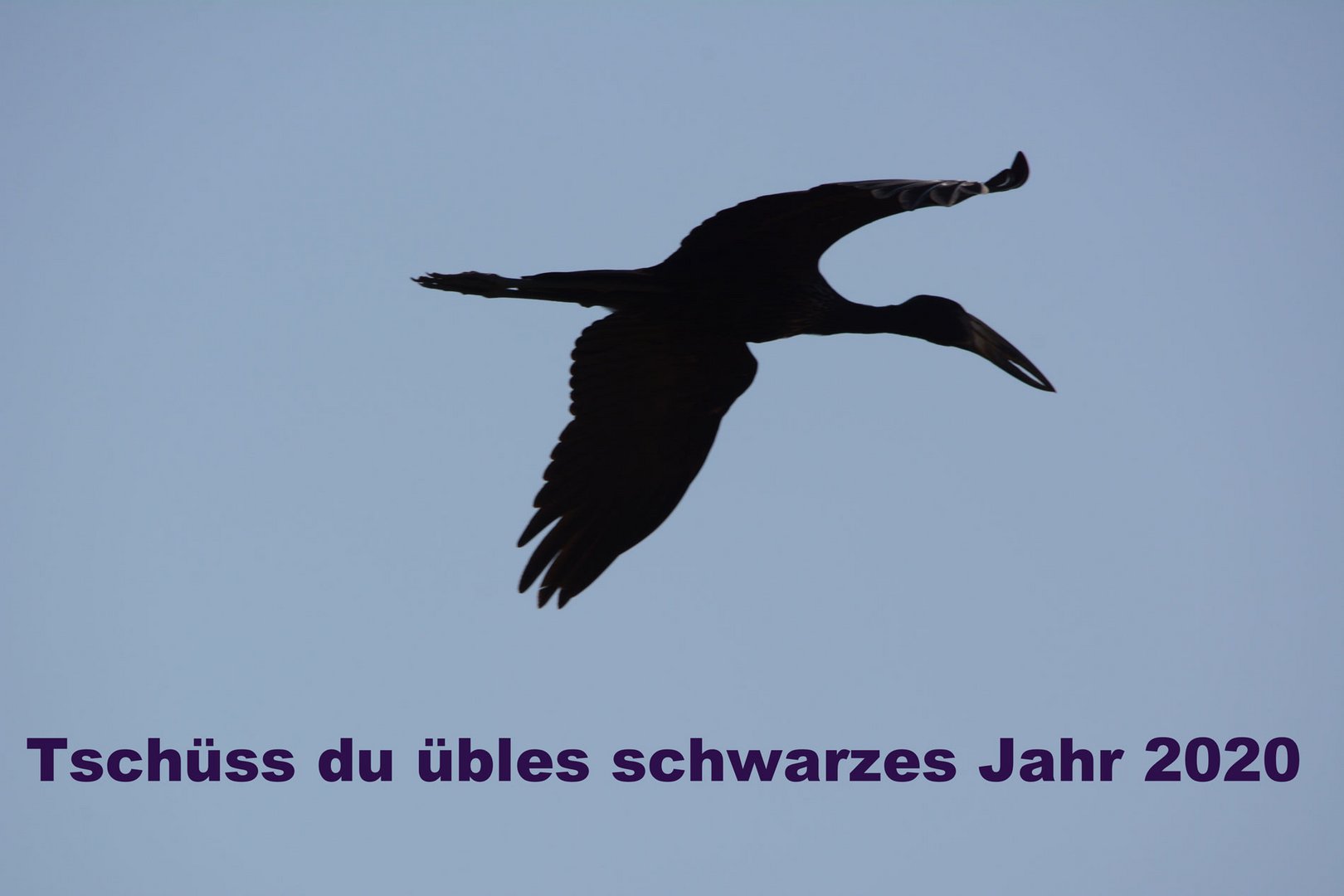 Da fliegt es hin das üble schwarze Jahr 2020