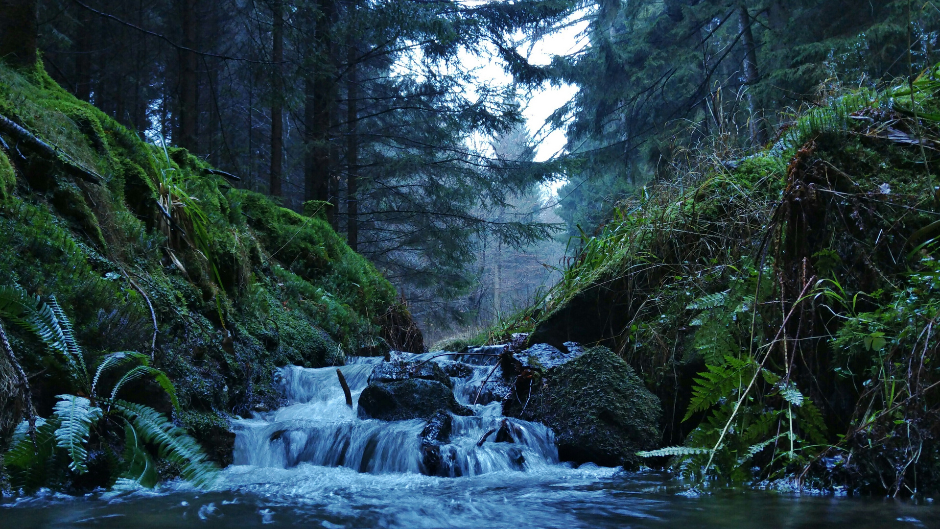 Da fließt viel Wasser den Bach herunter...