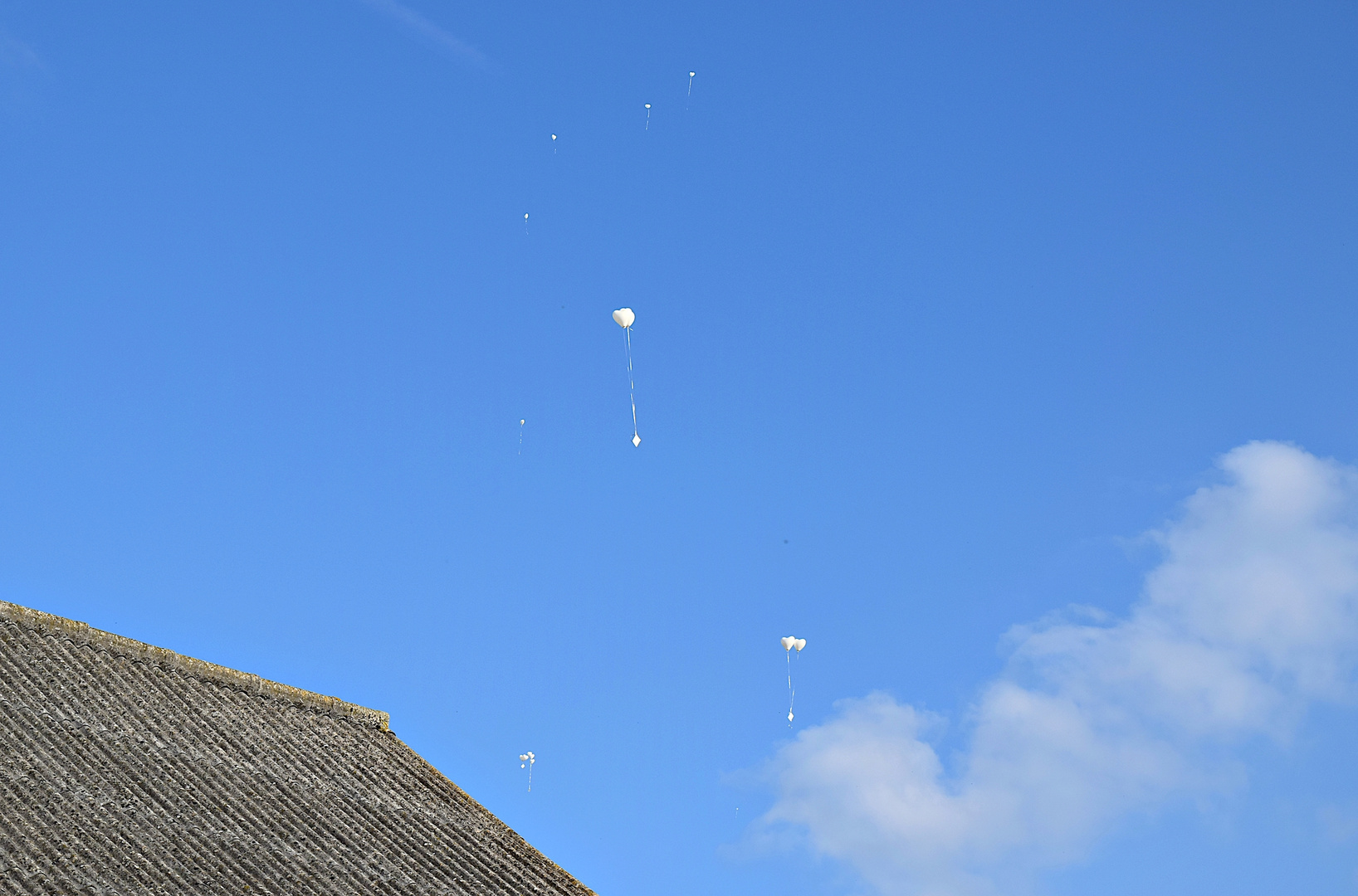 Da flogen einige in den blauen Himmel,