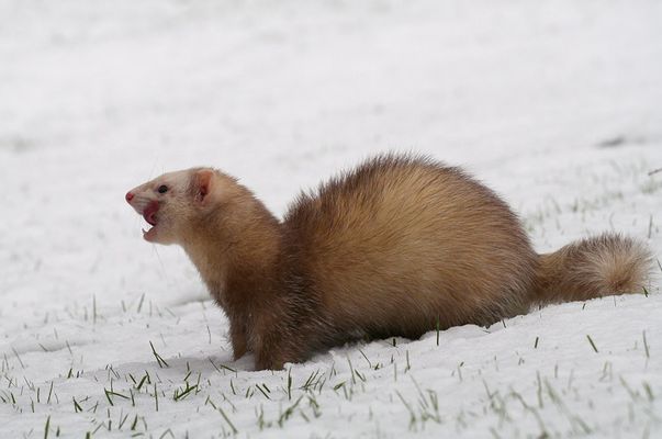 Da friert einem ja ..