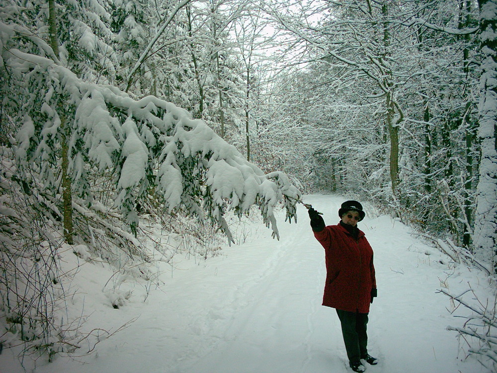 Da gab es hier noch richtig Schnee im Schwarzwald