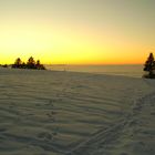 Da gab es noch Schnee auf dem Pfänderrücken