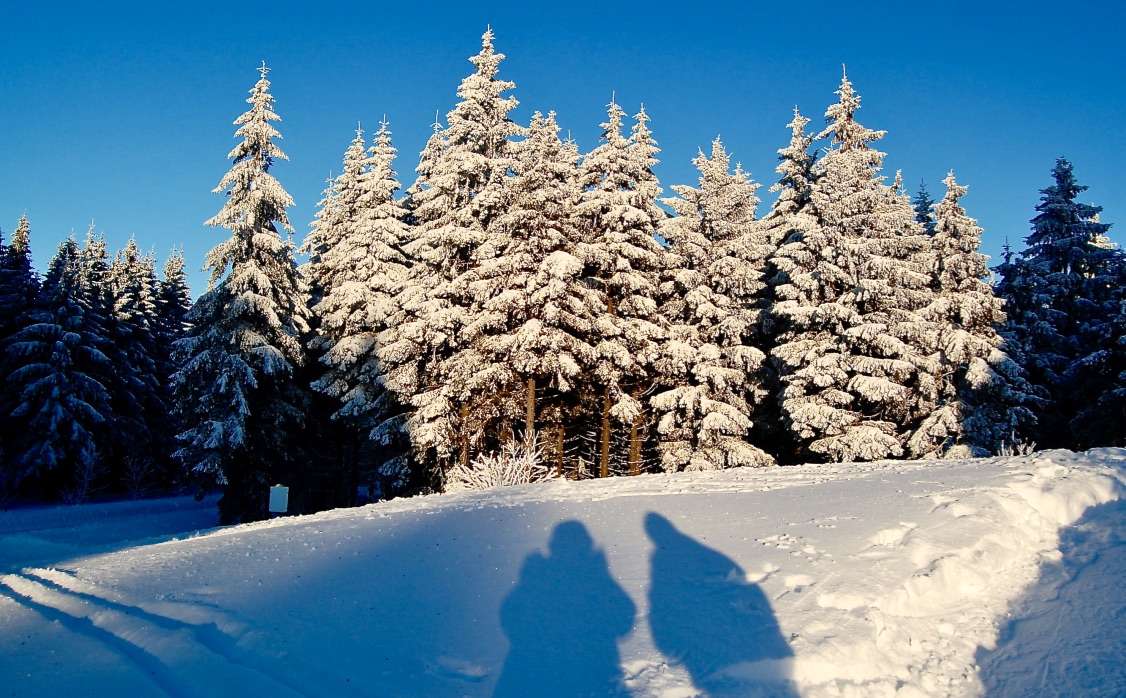 Da gab es noch  Schnee im Winter! 