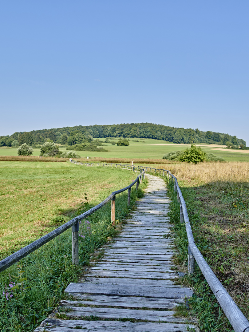 Da geht's lang - immer dem Bohlenweg nach...