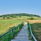 Da geht's lang - immer dem Bohlenweg nach...