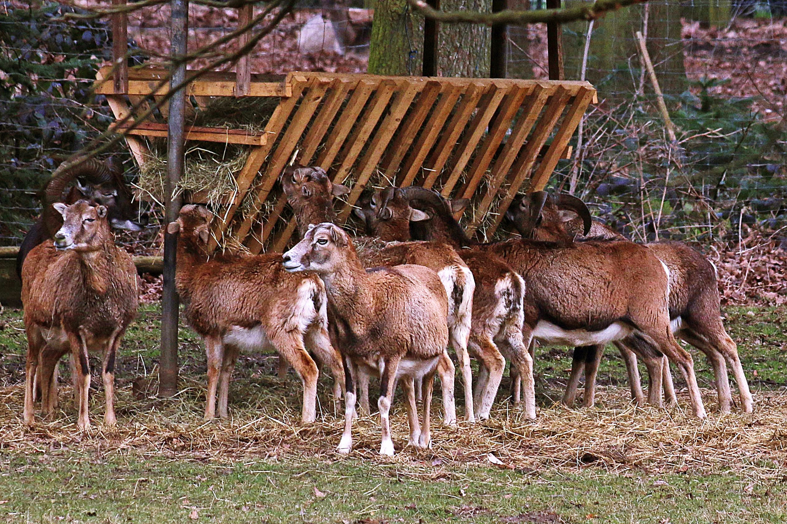 da gibt es wohl was umsonst