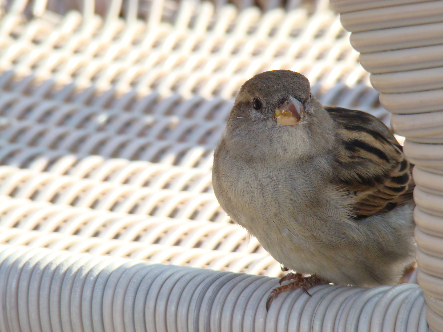 Da guckst du!