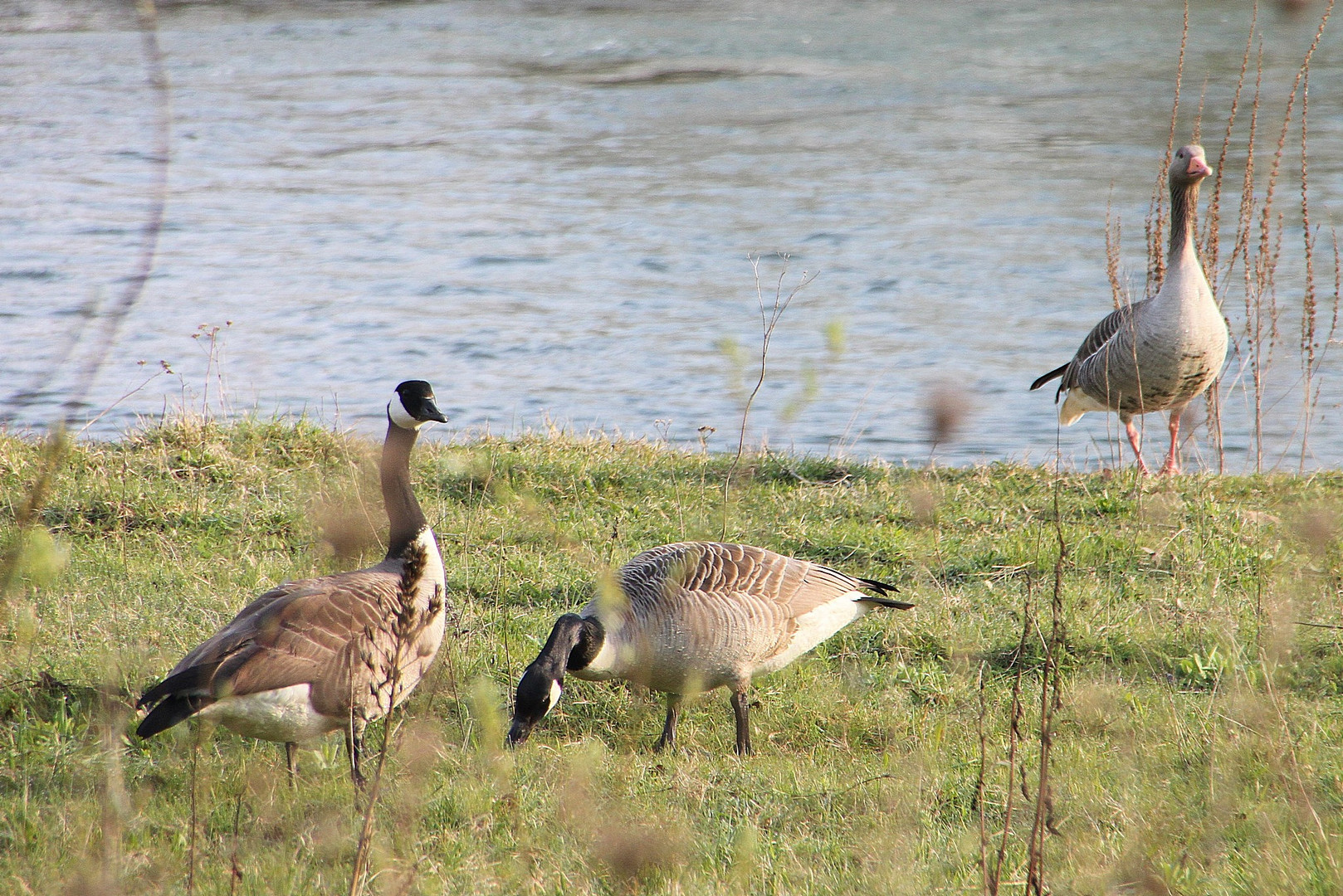 Da guckst Du!