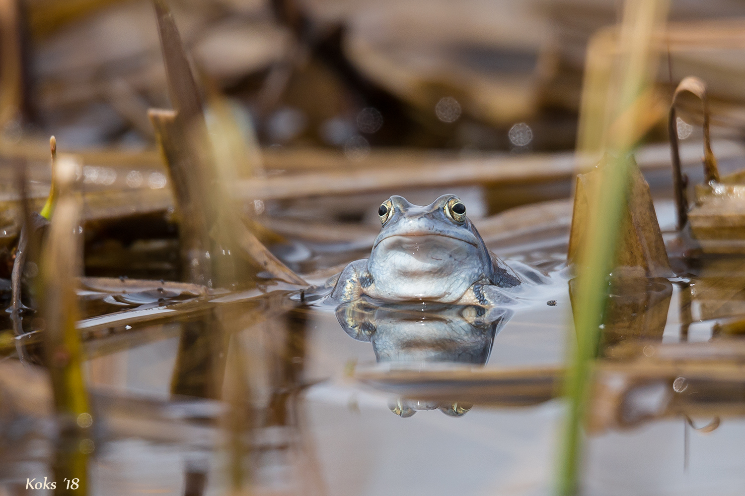 da guckste ... wa ...!