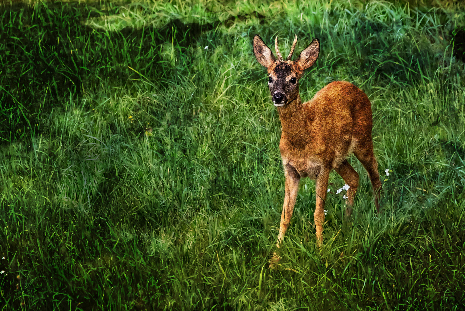 "Da hab ich ein BOCK GESCHOSSEN ..."