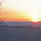 Da haben die beiden Rehe gestaunt über den Reif und den ersten Frost...