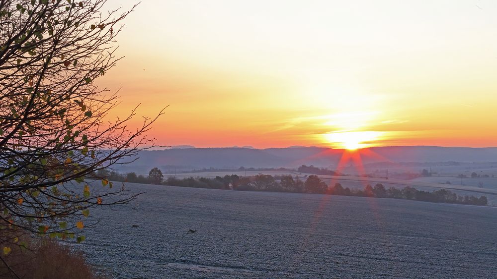 Da haben die beiden Rehe gestaunt über den Reif und den ersten Frost...