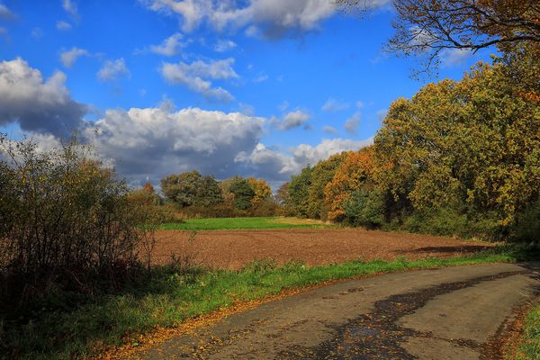 Da haben wir heute noch mal Glück gehabt.