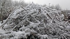 Da hat der ALTE WINTER an seinem letzten Tag 2021 noch mal zugeschlagen...