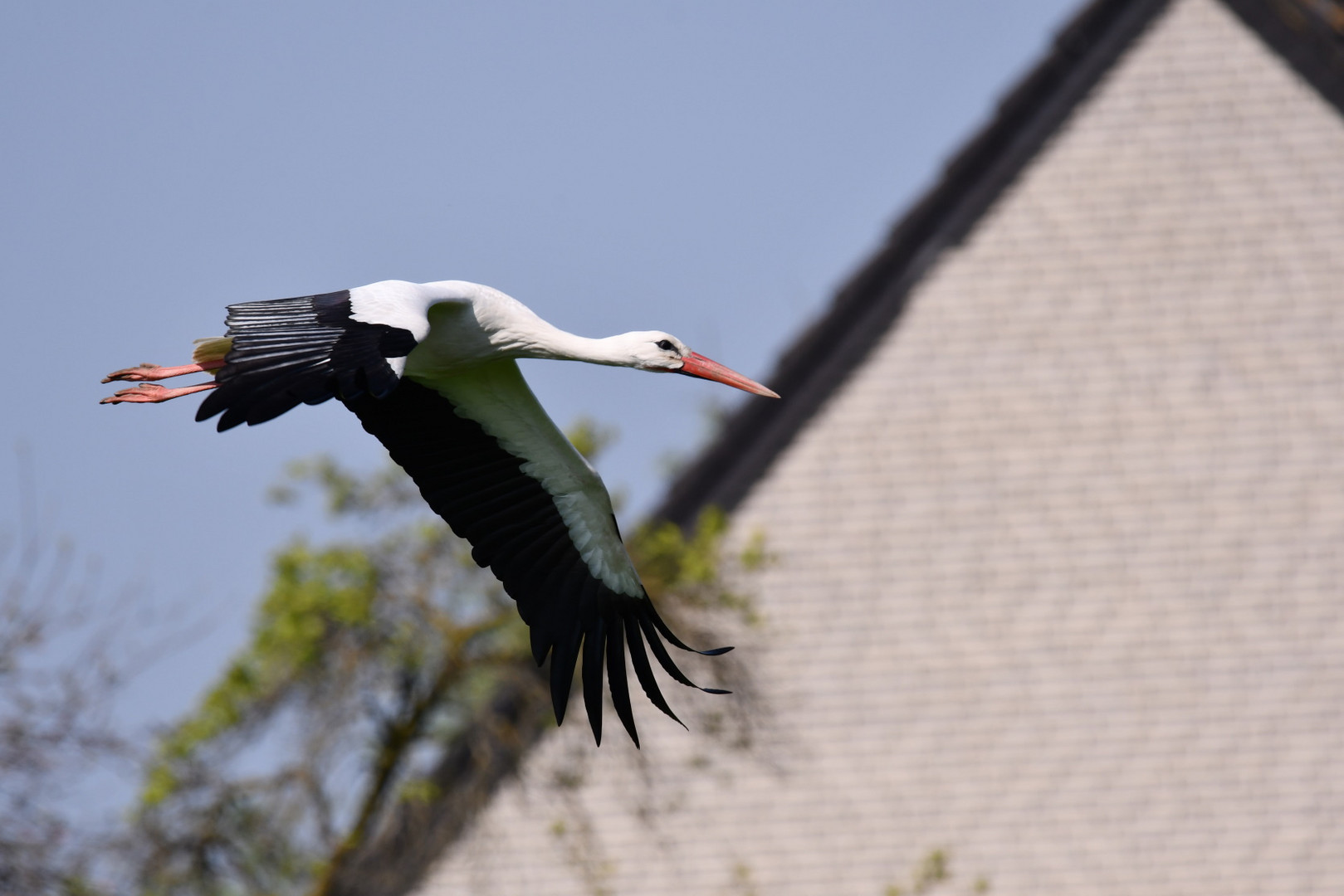 Da hat der Storch schon wieder ein Kind gebracht...