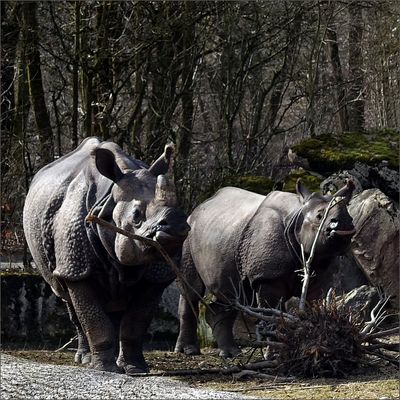 Da hat einer ne dicke Lippe riskiert ...