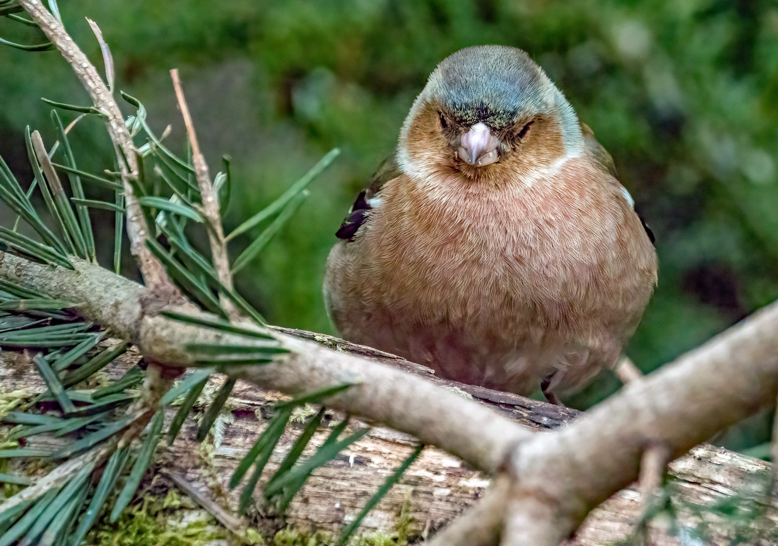 "Da hat er aber Geguckt" (leider wieder mit ISO 10000)