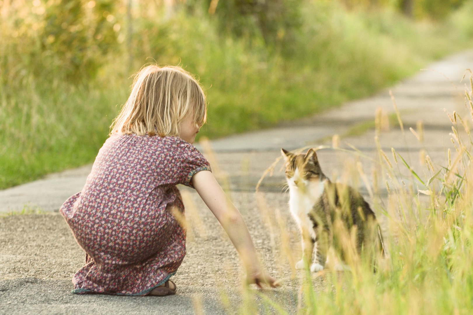 Da hat jemand die Katze entdeckt=)