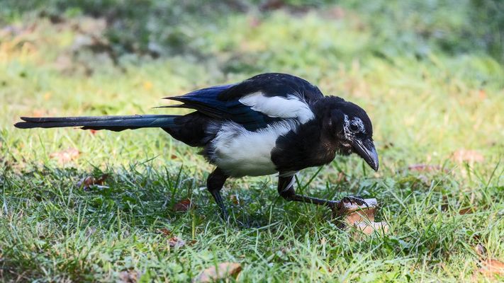 Da hat sie was gefunden