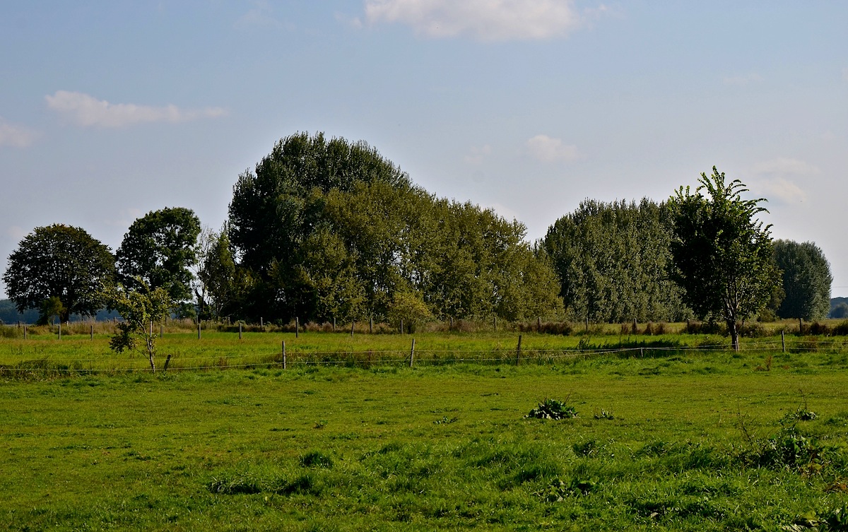 Da hinten geht der Spätsommer