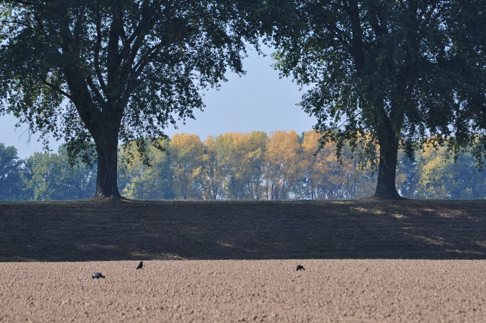 Da hinten kommt der Herbst