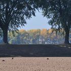 Da hinten kommt der Herbst