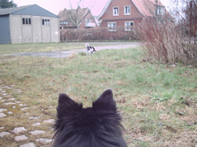 "Da hinten läuft meine Stiefschwester Nelly!"