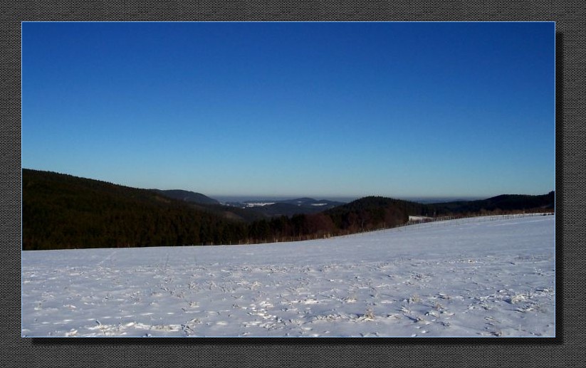 da hinten mittig liegt Lositz