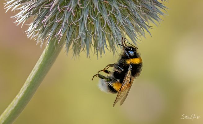 Da ist doch noch was zu holen!