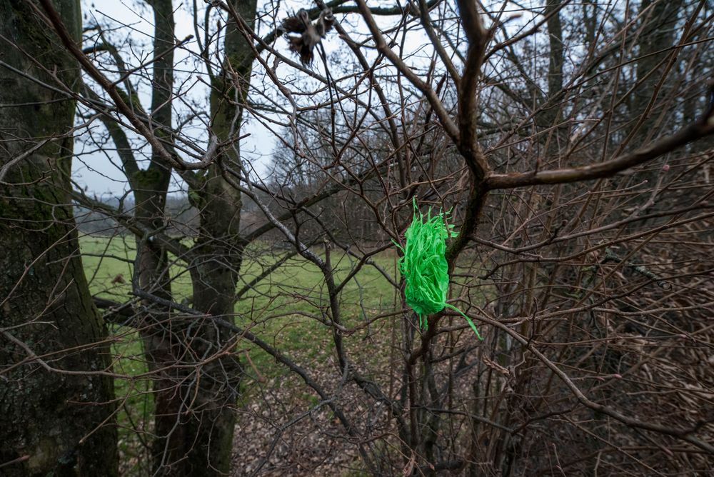 Da ist doch schon der Osterhase durch