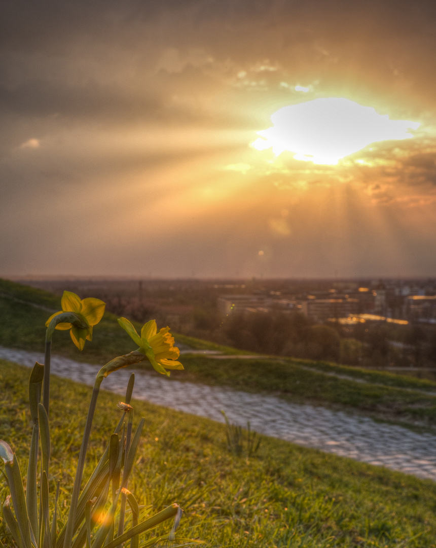 Da ist er, der Frühling 2013