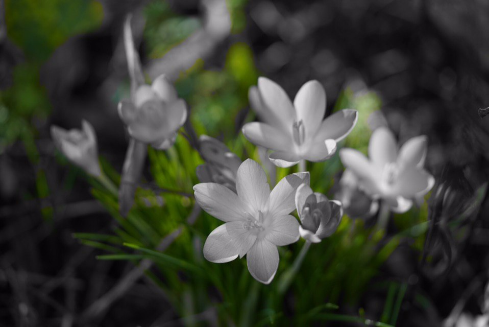 Da ist er der Frühling!