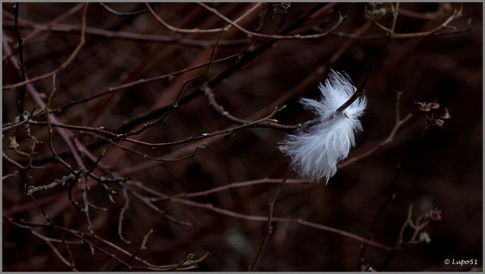 DA IST ETWAS HÄNGENGEBLIEBEN