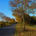 Da jetzt die Herbststürme kommen....