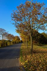 Da jetzt die Herbststürme kommen....