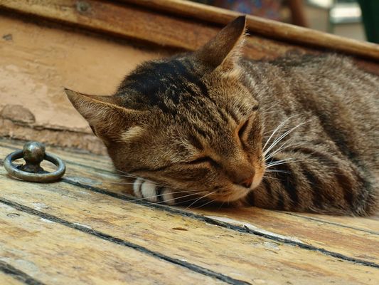 Da kann man doch nur schlafen!